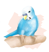 ** PLEASE DESCRIBE THIS IMAGE **